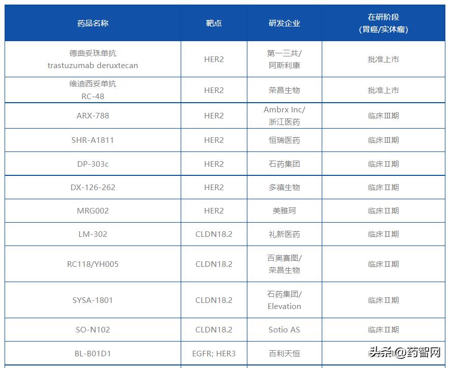 adc抗体偶联物在晚期胃癌的应用,adc胃癌