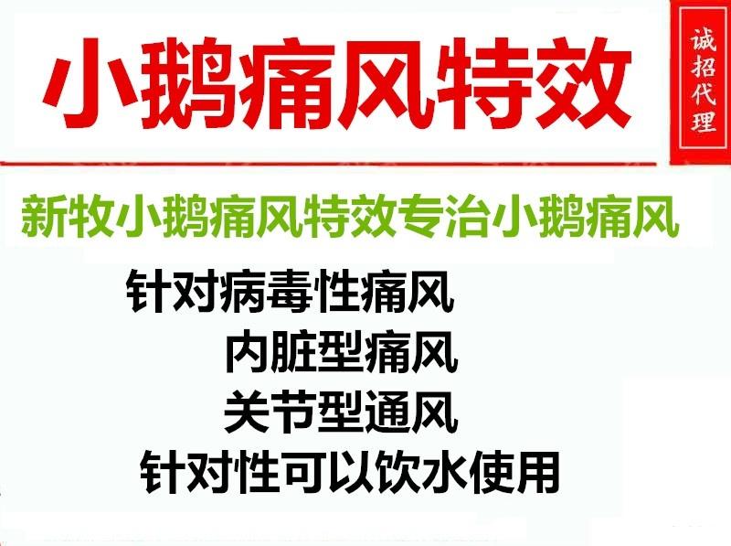 小鹅间歇性拉白色稀粪是什么原因,鹅为什么会出现浆膜炎