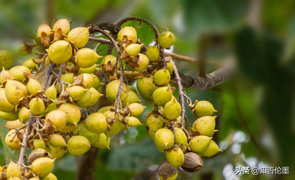 农村办小工厂致富门路,农村走村串巷的致富门路