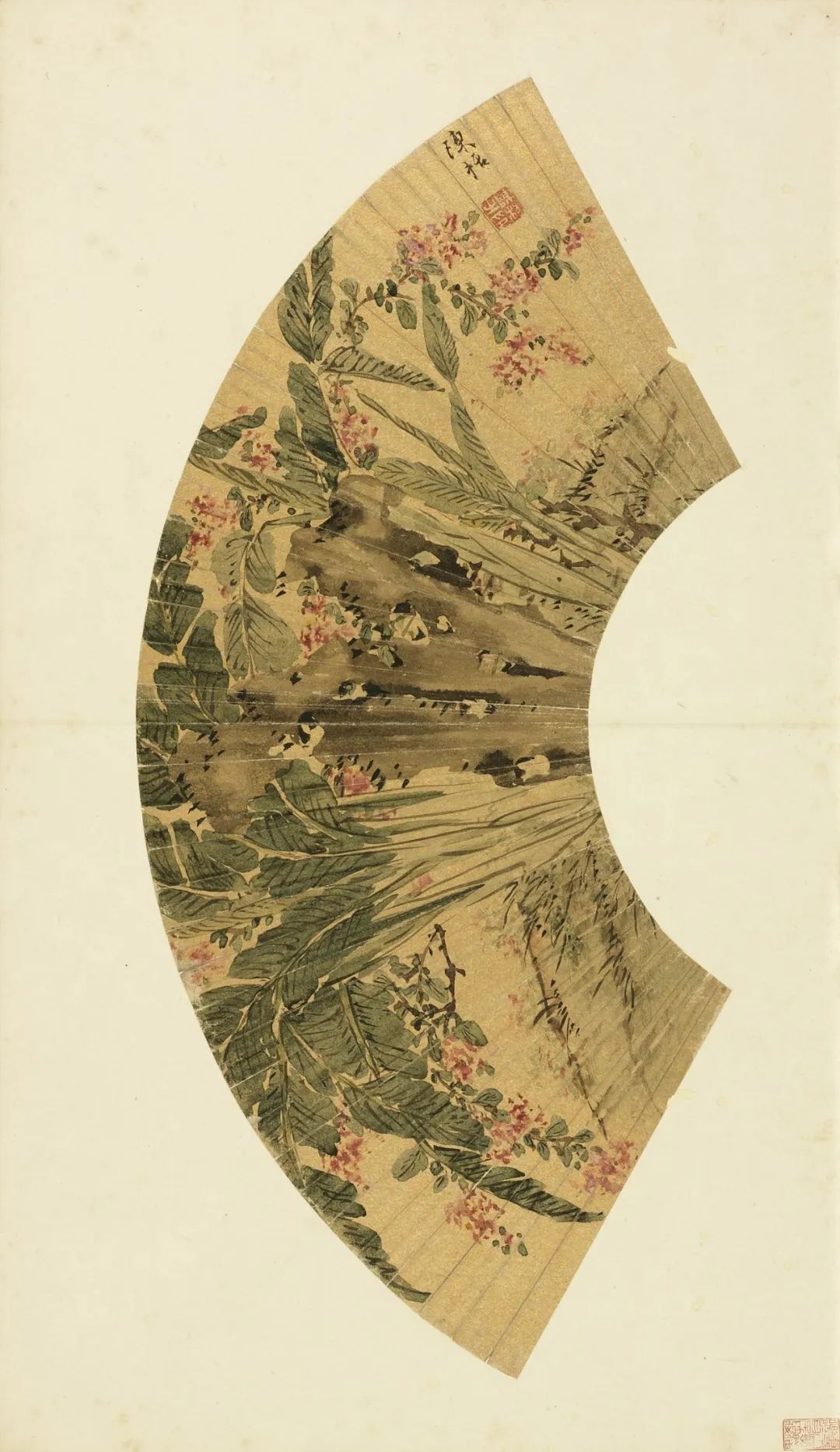 慕容看世界的视频,慕容看世界所有视频