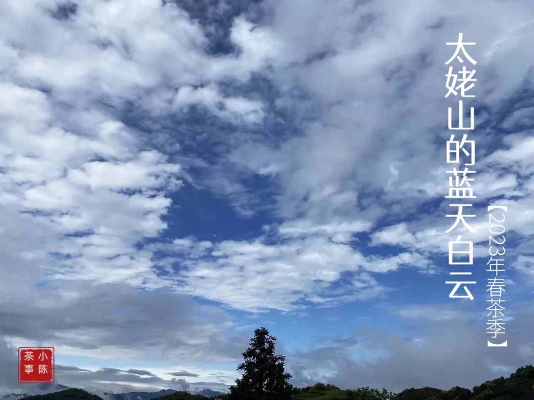 茶掌柜和入门级茶友,茶掌柜知识分享