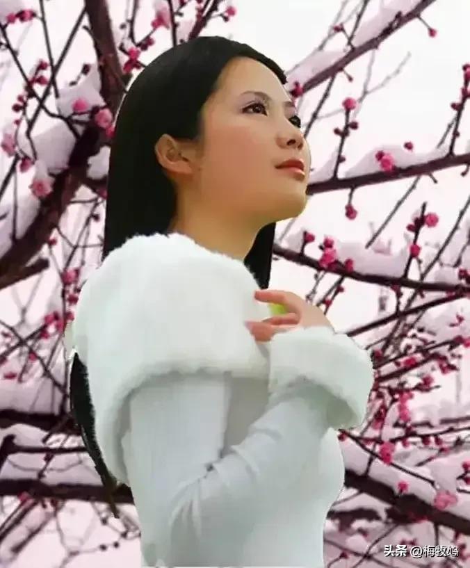 紫石金麟|咏梅七律三十韵②（二叠韵合集）