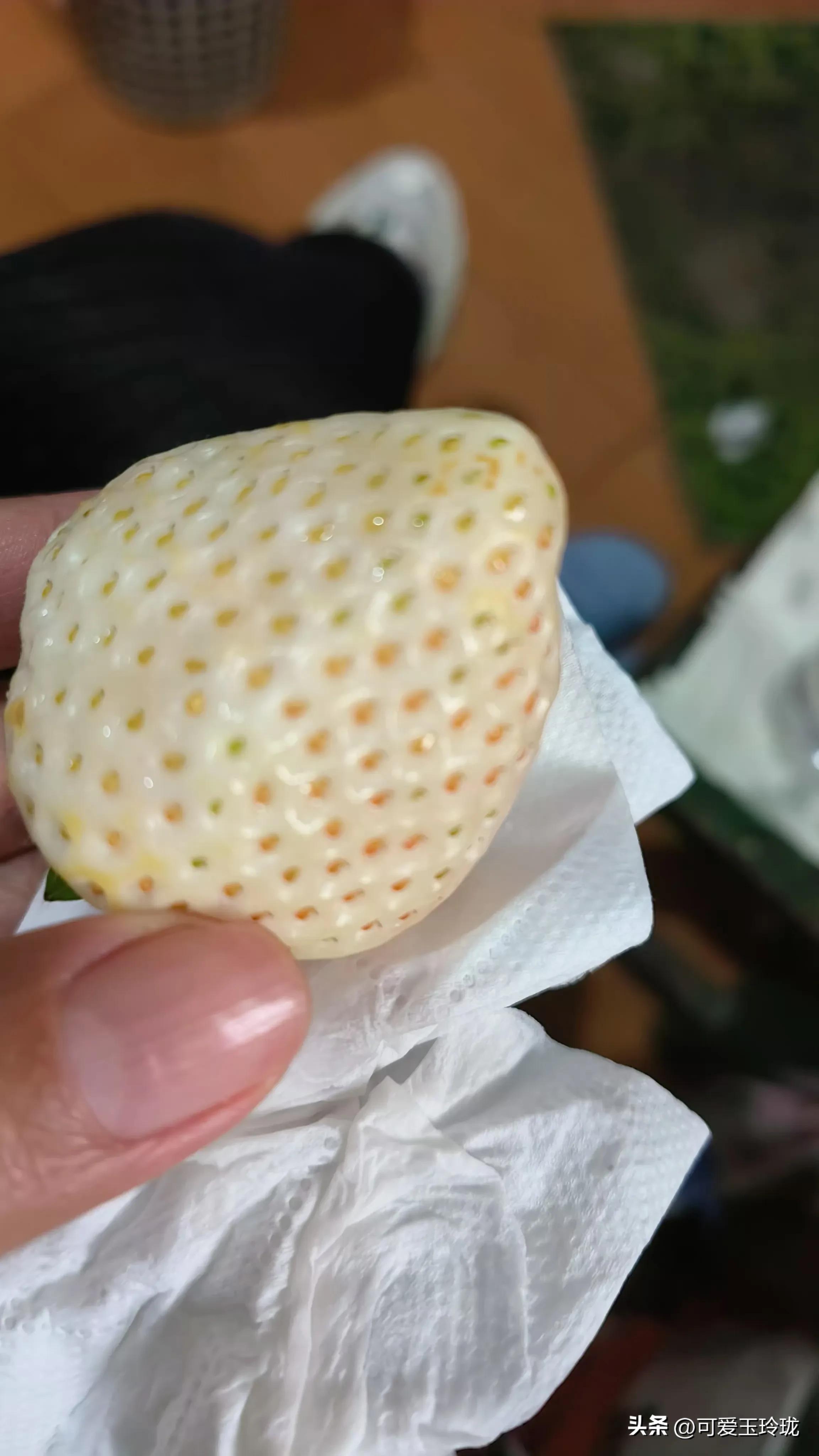 鐒﹁檻娌绘剤瑙嗛,鐒﹁檻鑳借嚜鎰堝悧