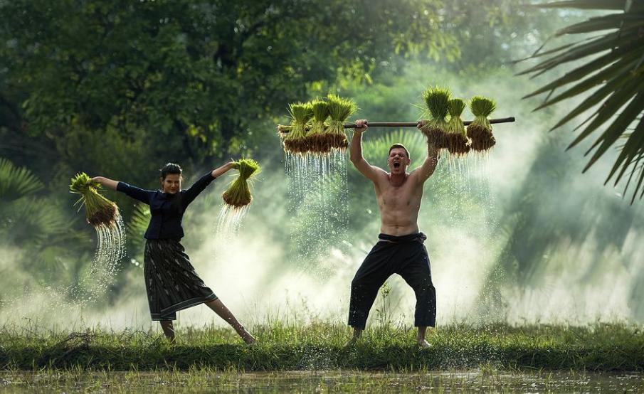 夏说文解字分析,夏说文解字的解释
