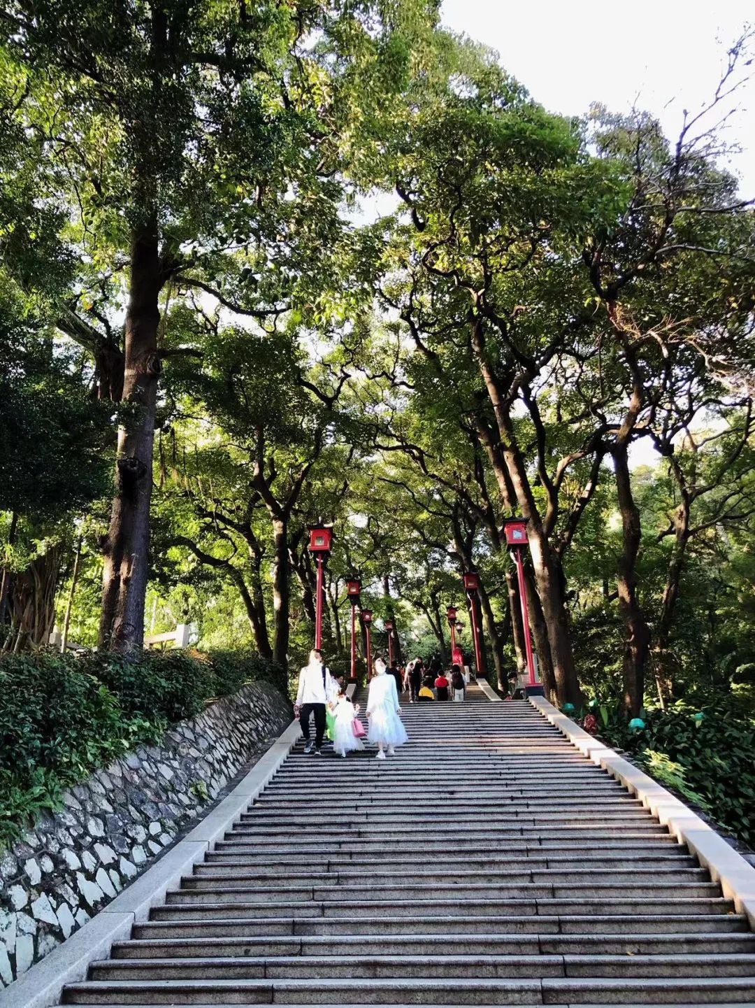 广州云栈道徒步路线,云中漫步广州