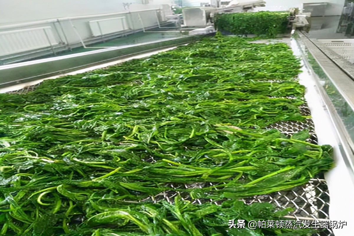 蔬菜漂烫机原理,果蔬漂烫机供应