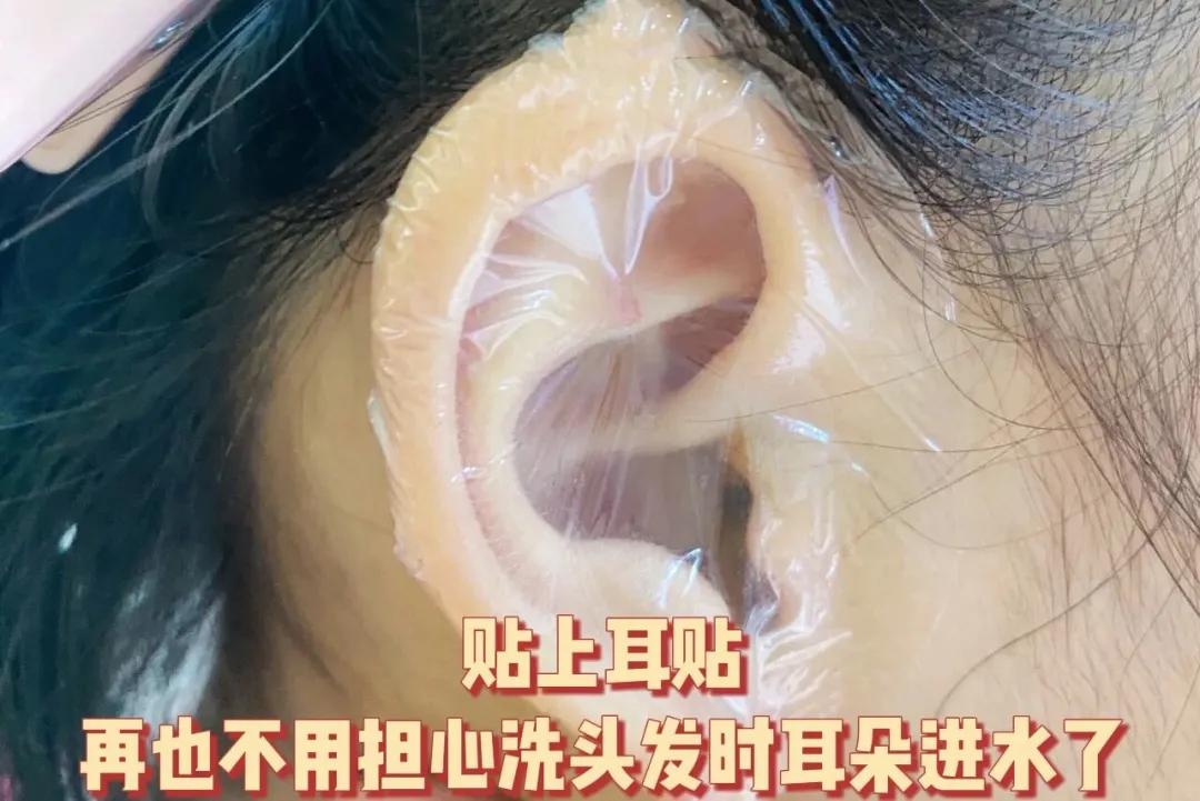 四脚吞金兽日常生活,四脚吞金兽的正确喂养方法