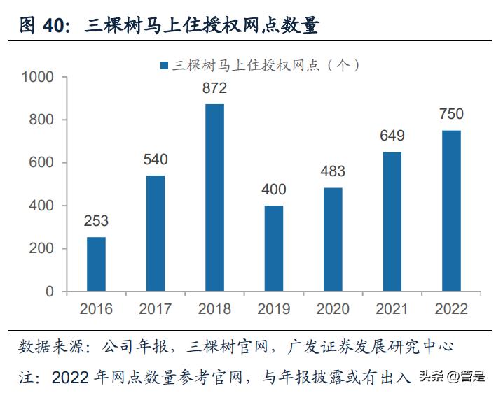 三棵树发展理念,三棵树战略规划