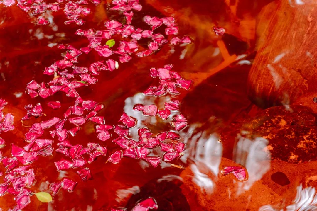 云南西部大峡谷泡温泉,云南原始森林温泉