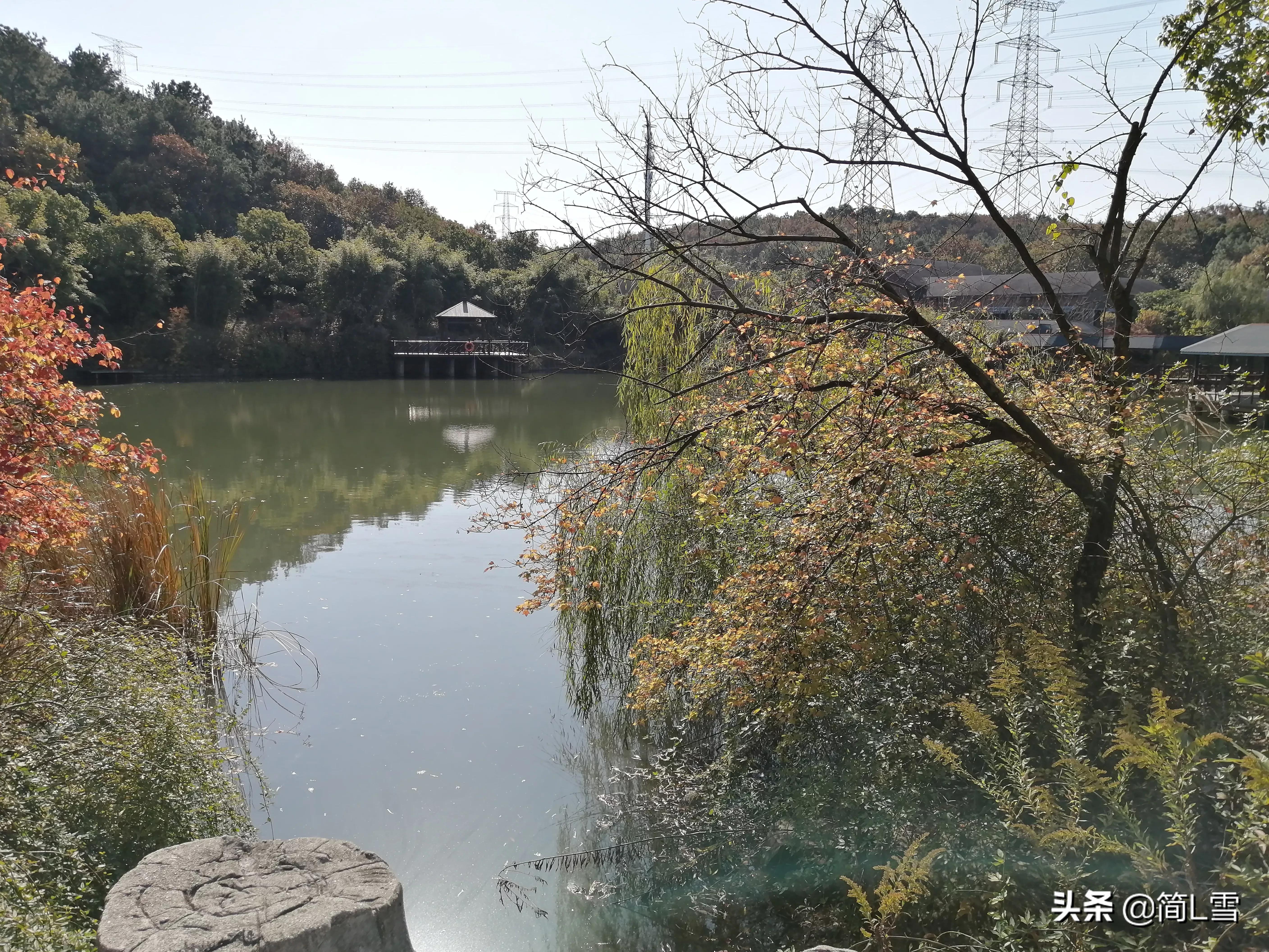 论微笑表情,面无表情的人