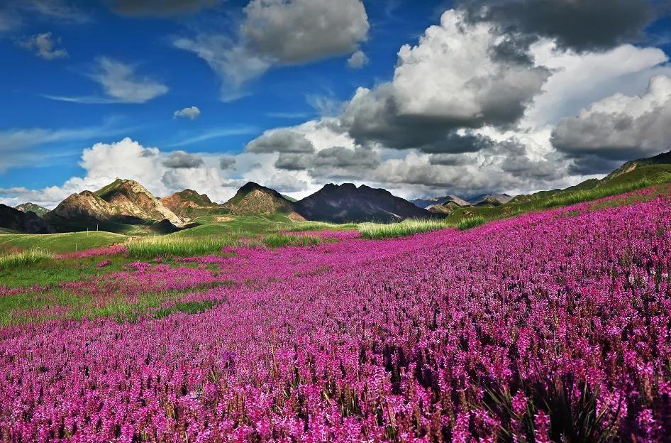 青海为啥成为核基地,青海怎么出圈