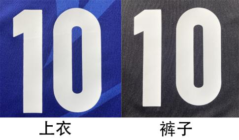 石家庄市实验小学,石家庄实验学校和实验小学