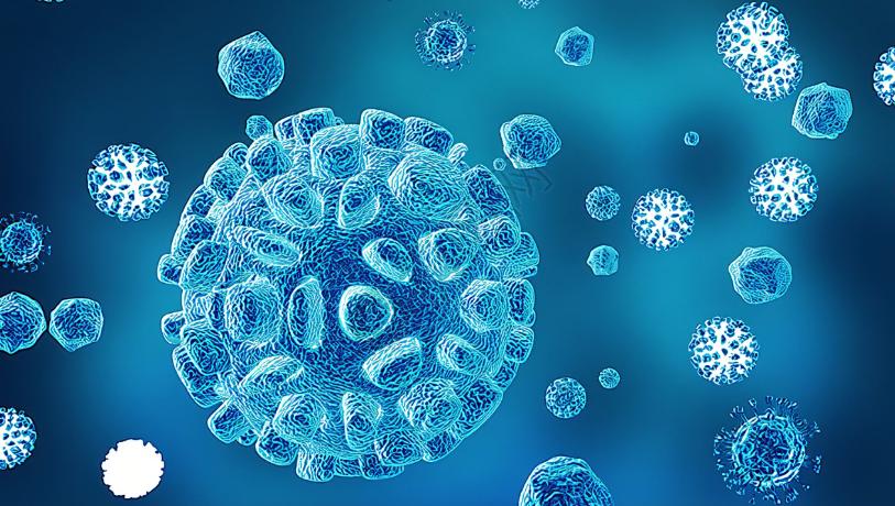 地下真菌网络：菌丝网络，在植物间信息传递、养分共享面的作用