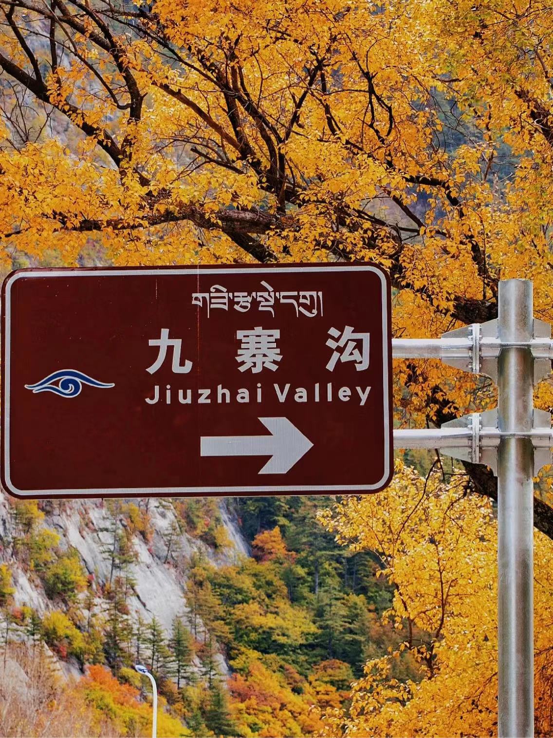 九寨沟童话仙境四日游,九寨沟童话路