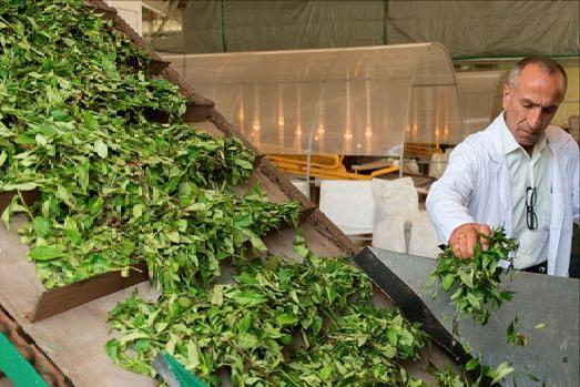 50张图片长见识,32张照片看真实的俄罗斯