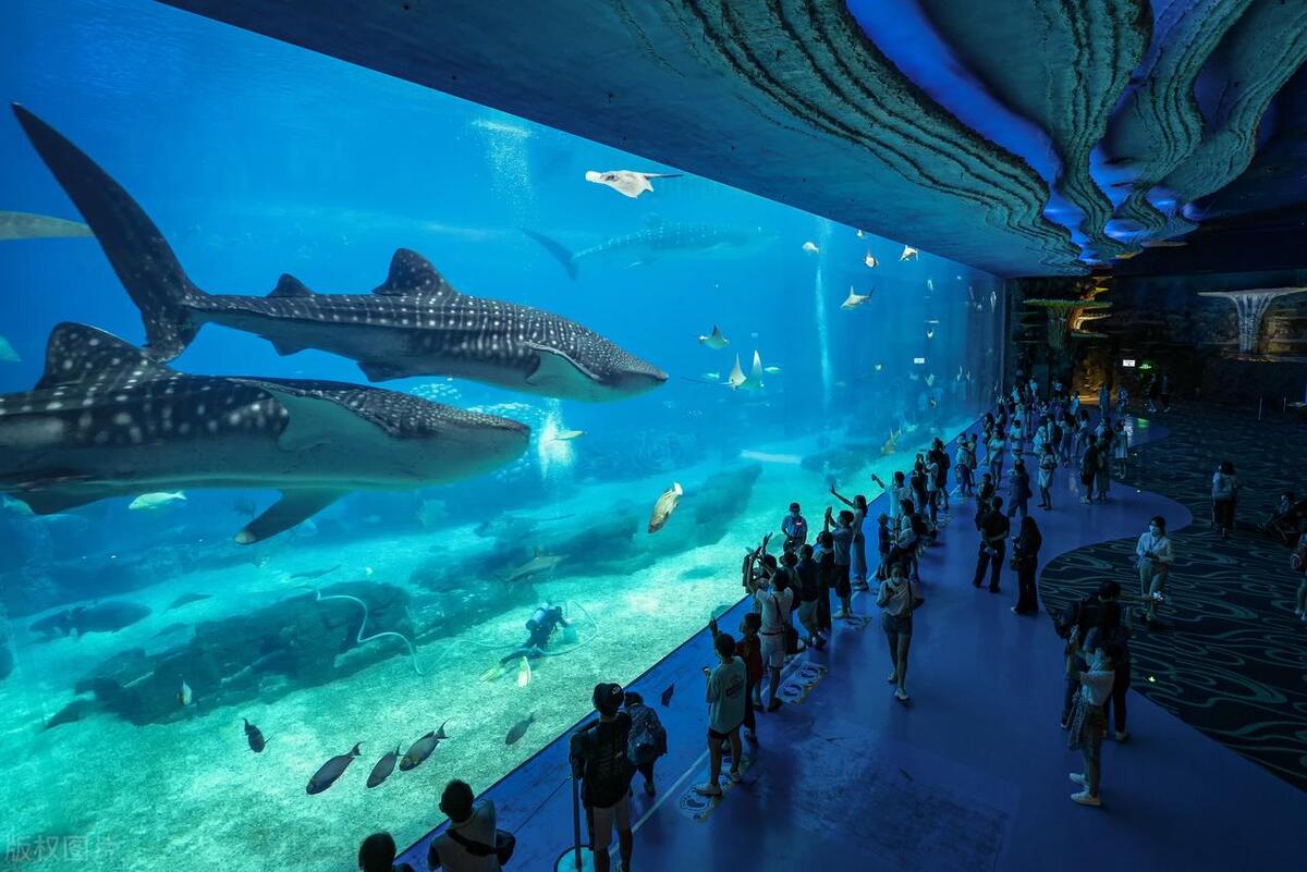 珠海淇澳岛旅游景点大全,广州珠海旅游攻略景点必去