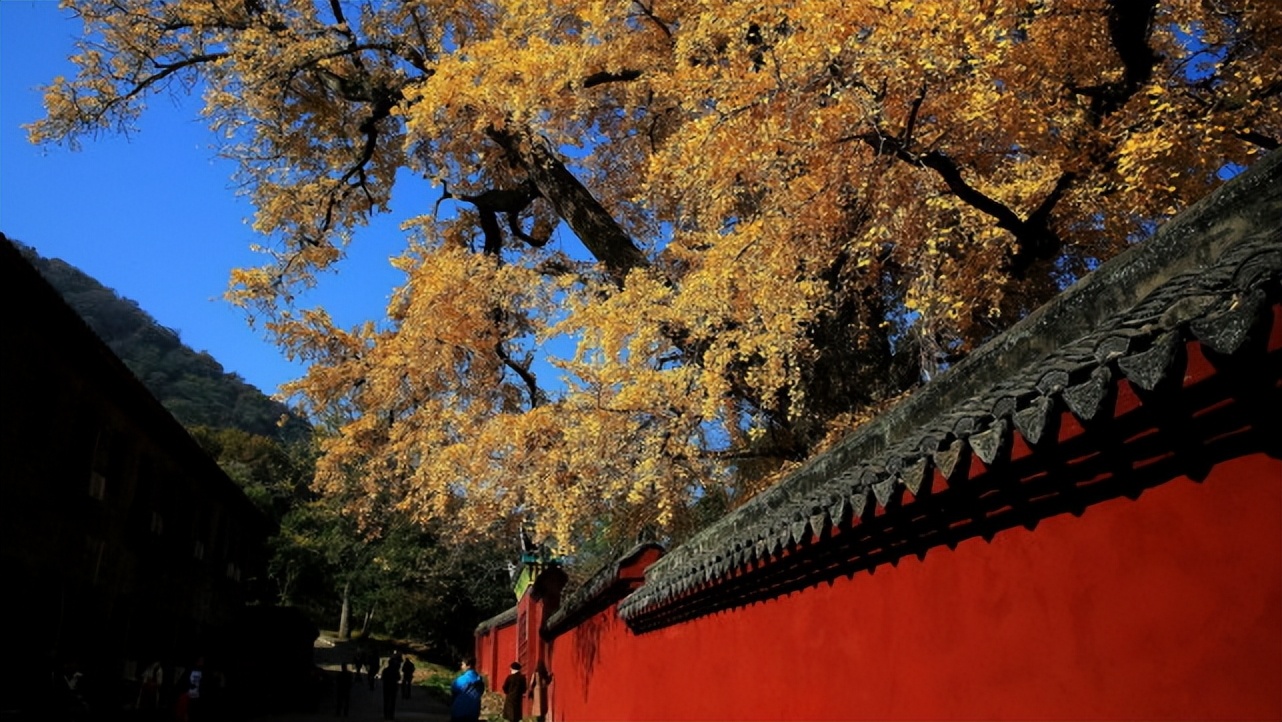 湖北宝藏旅游景点,湖北的宝藏旅行地恩施