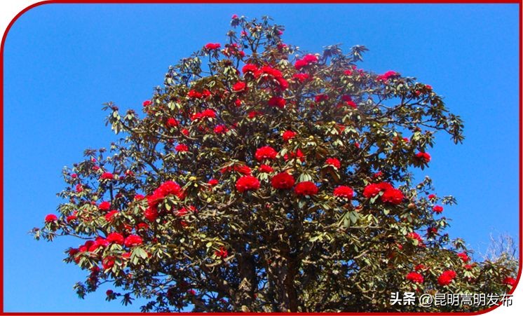 讲好荒田“农”故事铭记*党**的“浓”恩情