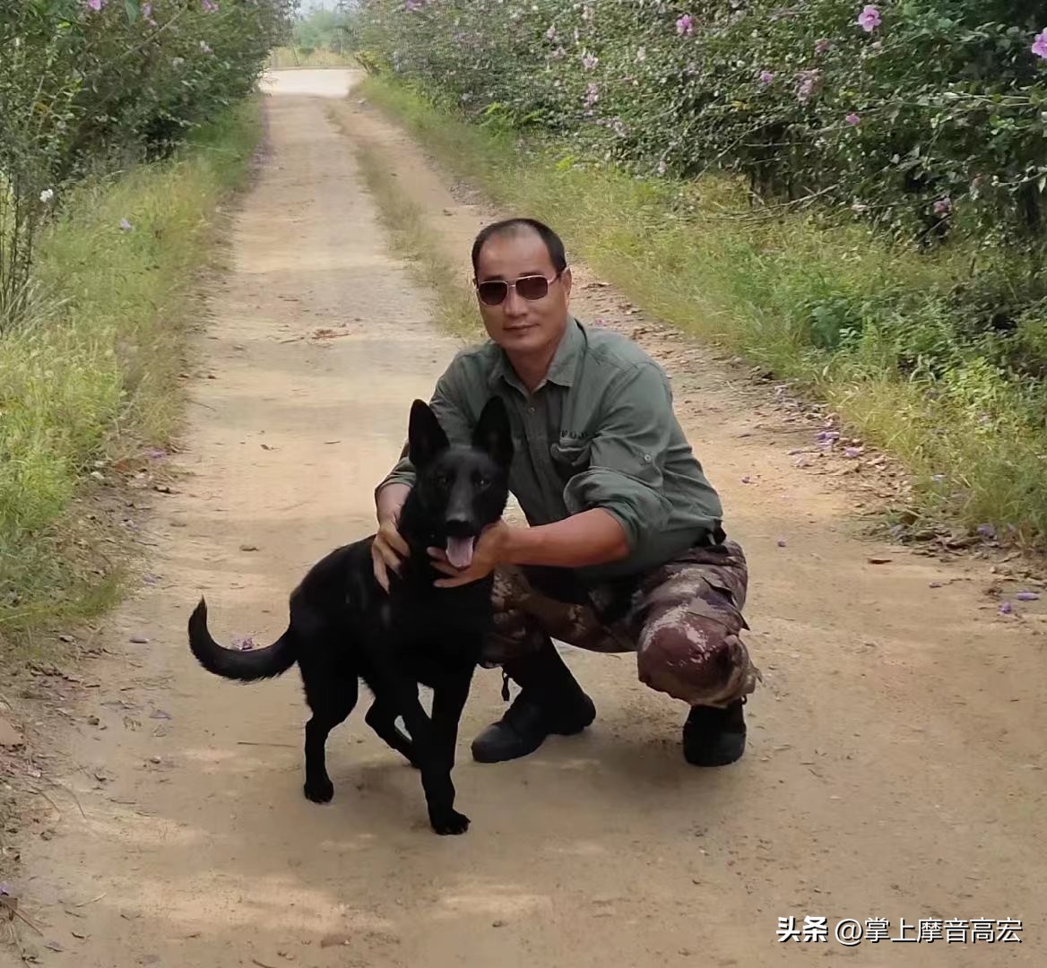 张鑫中国滑板队,中国自由式滑雪张鑫