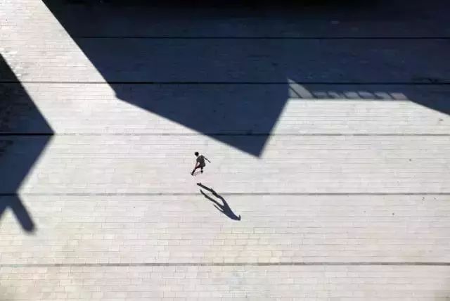 奥林巴斯摄影获奖照片,奥林巴斯摄影比赛视频