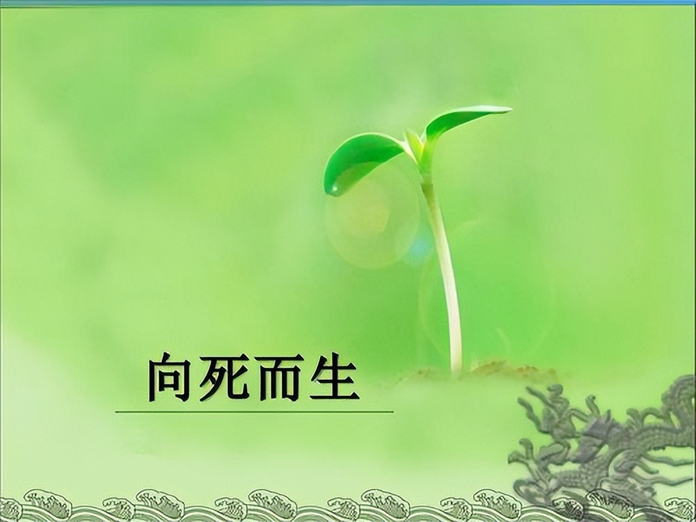 写错话语心理学含义：那些极力回避、否定的东西，才是最重要的！