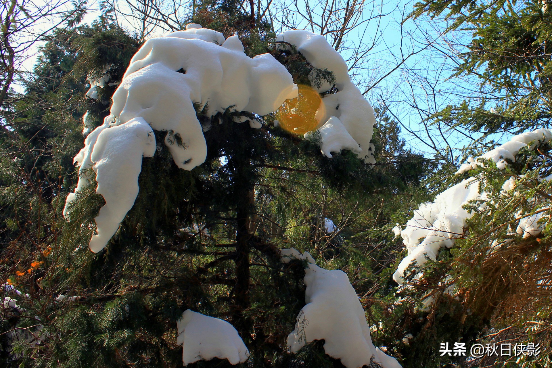 绂绘澀宸炴渶杩戠殑绉洩,鏉窞绉洩