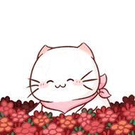 第四届全国十大杰出青年法学家,第10届全国杰出青年法学家