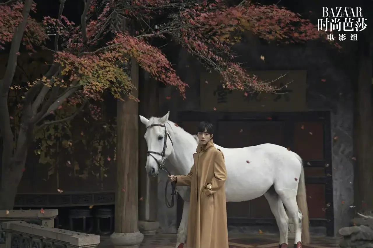 时尚芭莎肖战银发造型高清,肖战登时尚芭莎封面人物