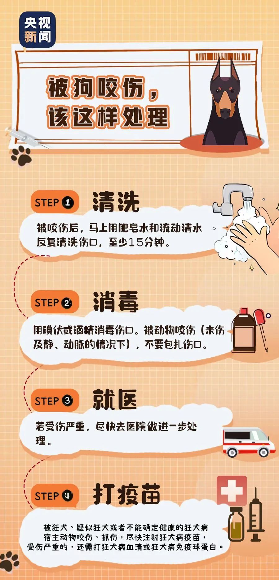 猫猫打过狂犬疫苗被咬了有事吗,狗狗咬了之后多久打狂犬疫苗有效