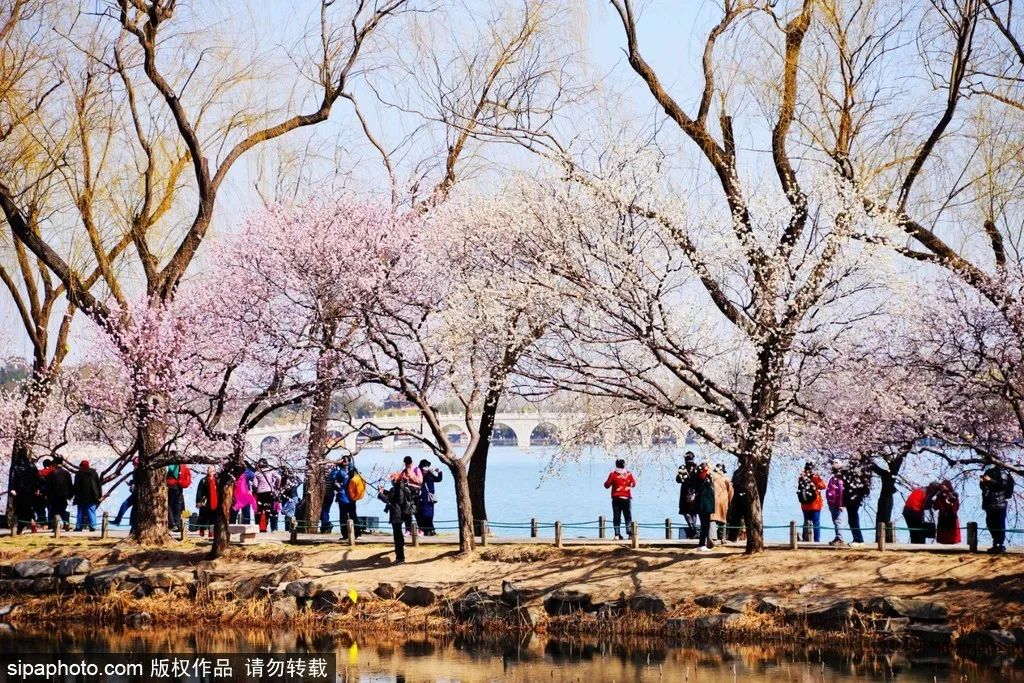 不负春光解锁春日美景打卡点,不负春光解锁春日美景攻略