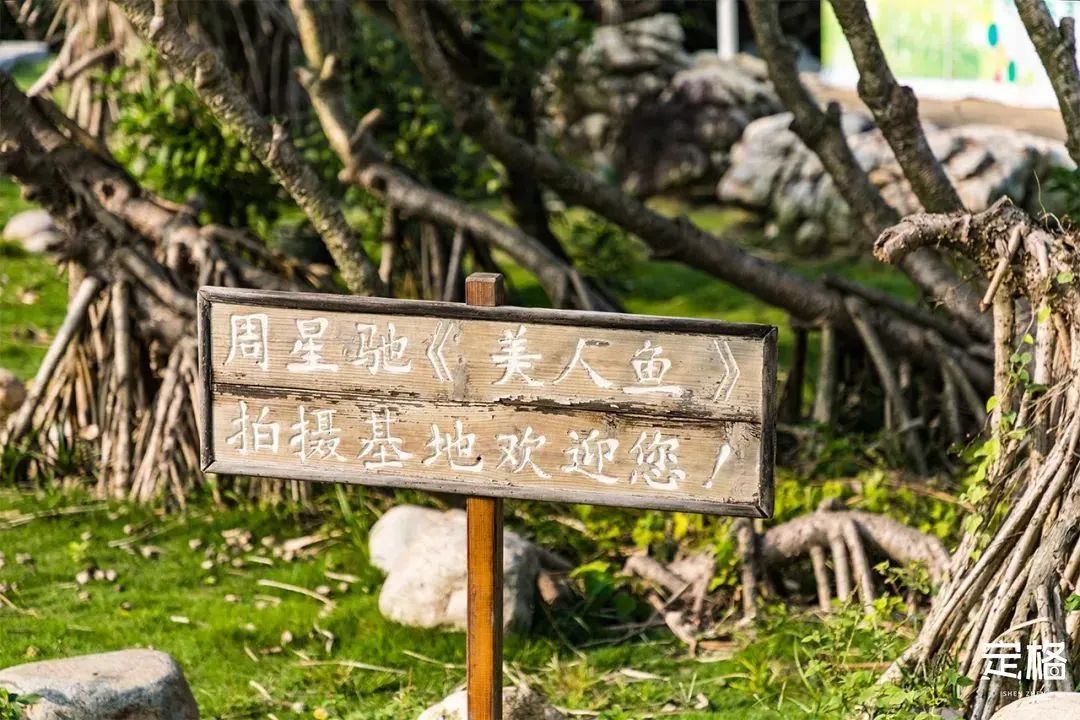 深圳10个小众打卡地,深圳十大免费打卡地