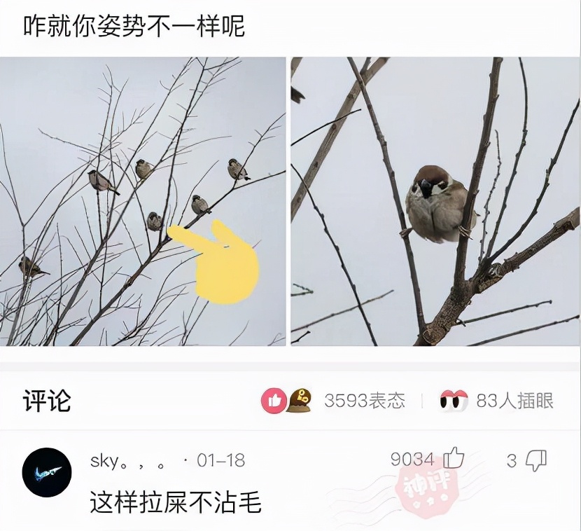 自己在玉米地里突然发现了个洞,在玉米地里迷路了怎么办