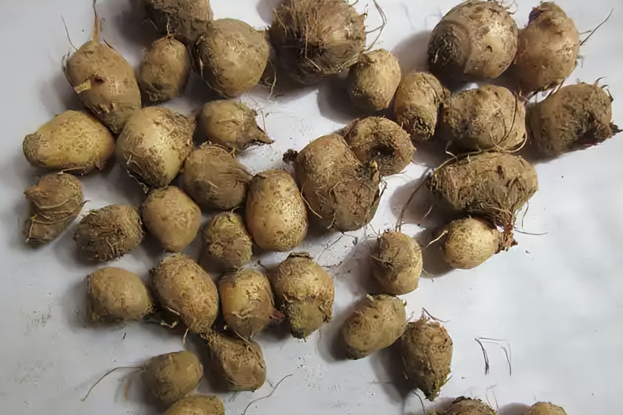 脑梗，根源是气虚！一张十几块的方子，补气通脑梗