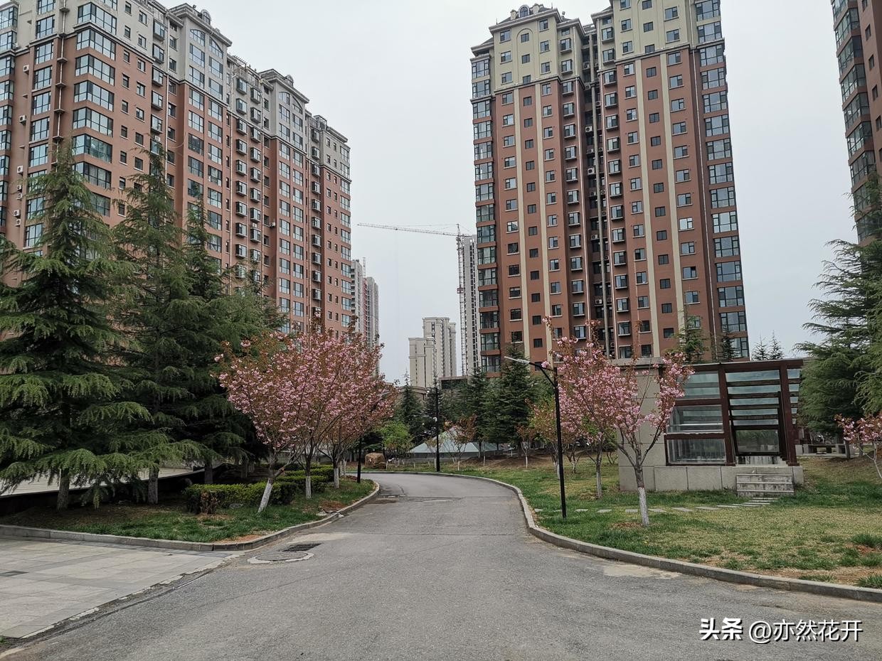 职场公文写作必备技巧,申请书和请示的区别有哪些