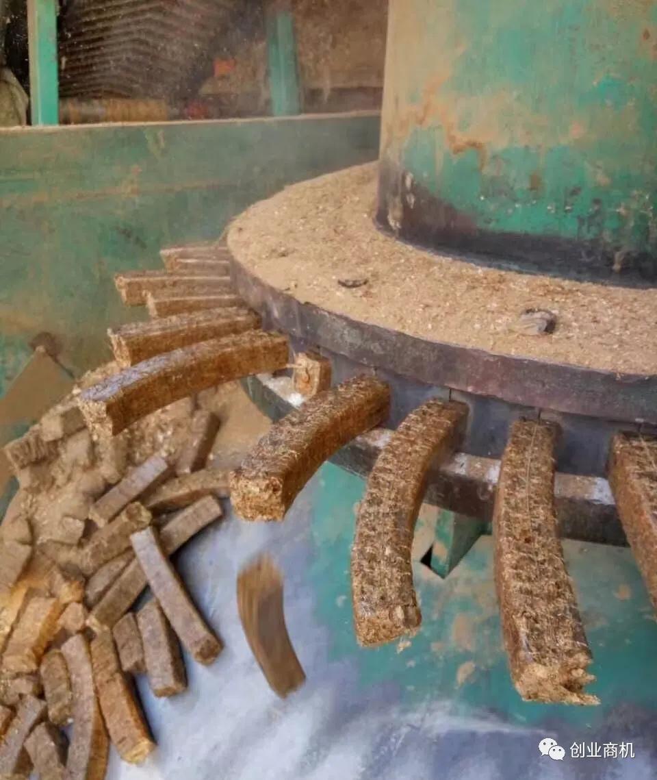 被人当垃圾丢了怎么办,被人当垃圾丢了的东西