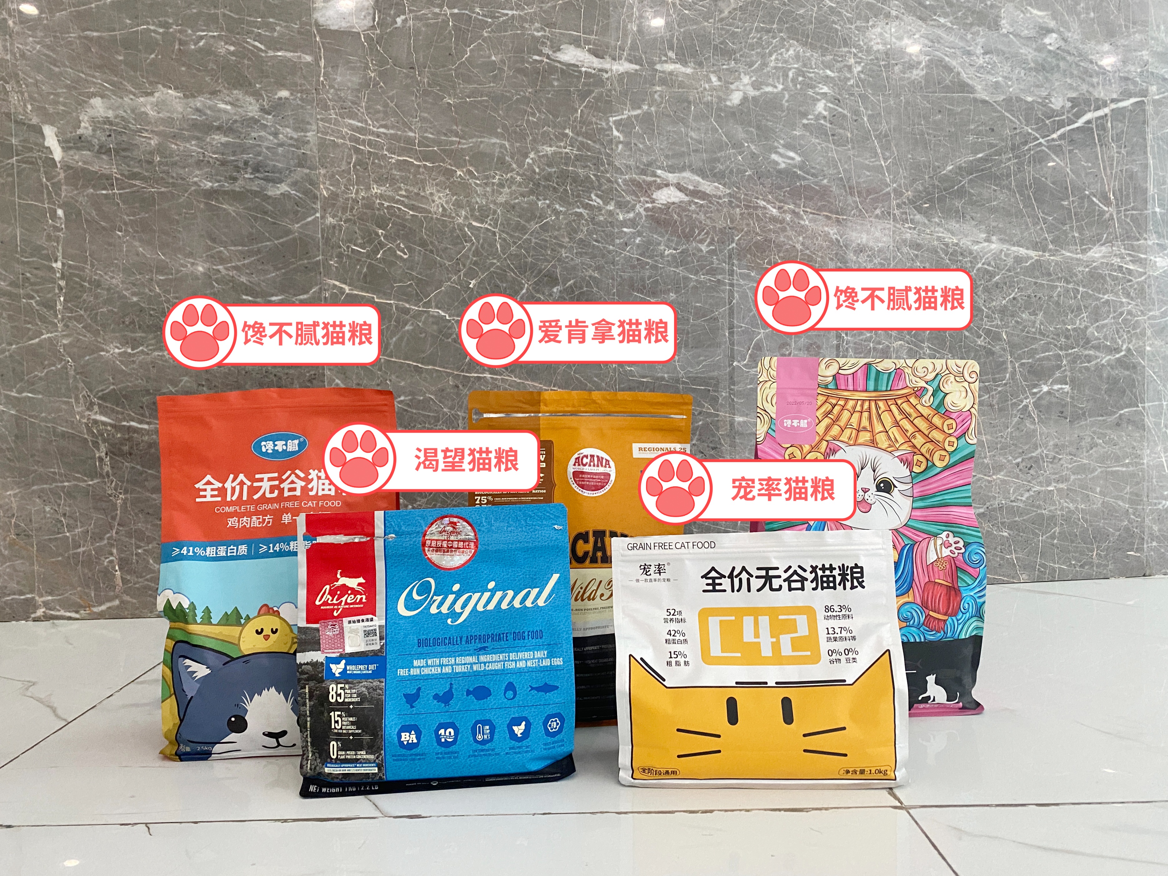 猫咪出现这些行为说明你养猫失败,新手养猫必备猫咪行为语言大解读