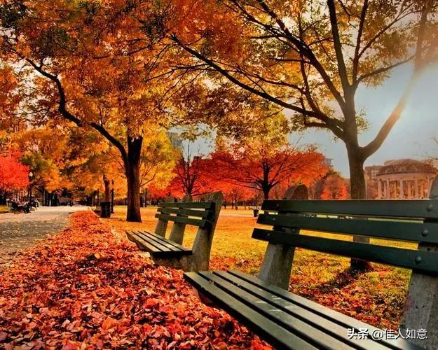 婚姻是女人的第二次生命是对的吗,婚姻是女人的第二次命运