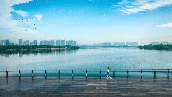 济宁2020前三季度各县区财政收入,邹城财政收入给济宁市吗