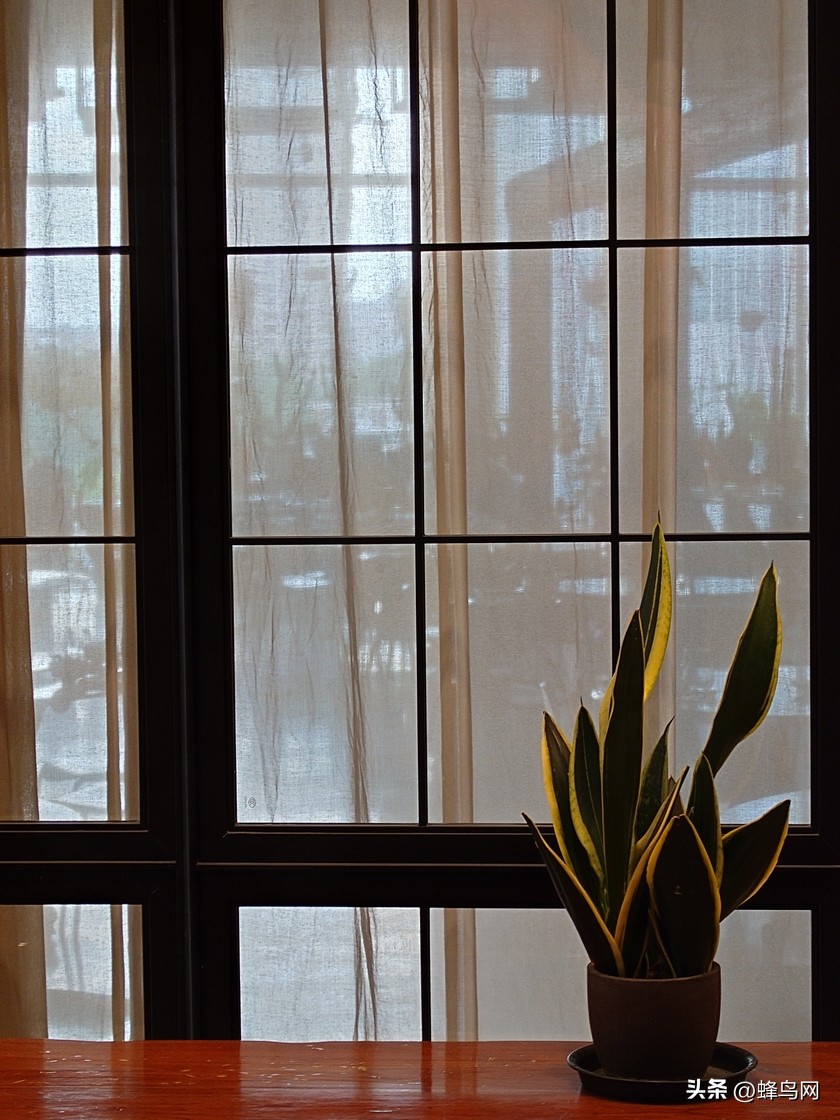 索尼xperia1v深度评测视频,索尼xperia1v影像评测