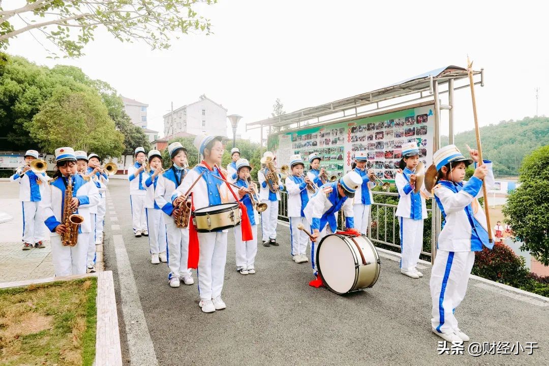 富德生命小海豚,富德生命人寿河北分公司小海豚