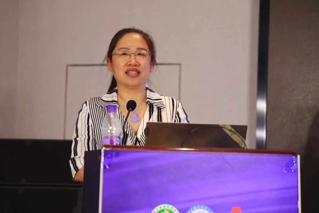 【专家齐聚精彩连台】石家庄市人民医院多场学术活动火热开启