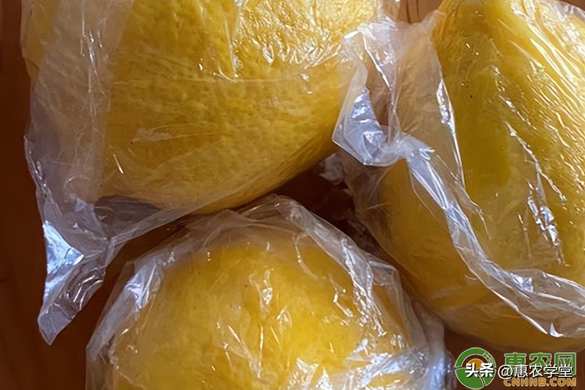 无籽柠檬市场价格,柠檬市场价格多少钱