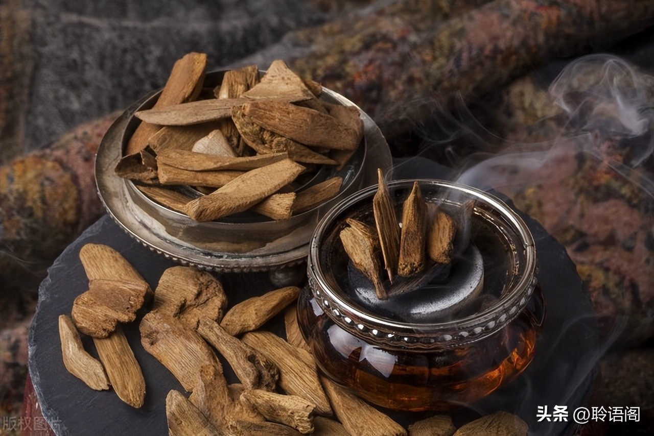 小故事大道理及感悟,受益匪浅小故事大道理