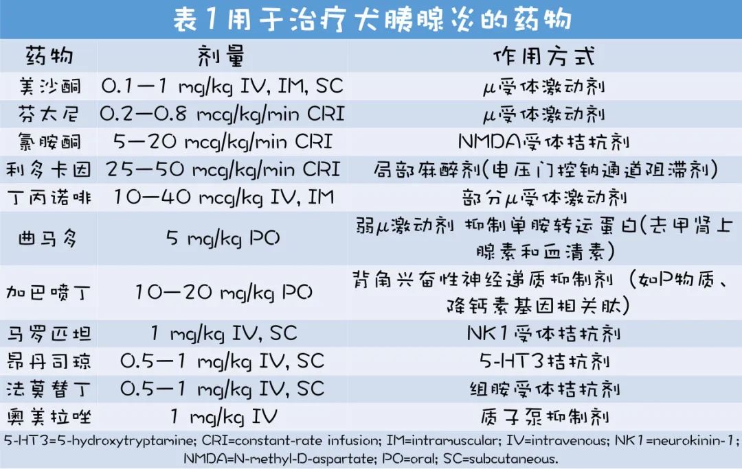 急性胰腺炎好治疗吗,犬急性胰腺炎怎么预防