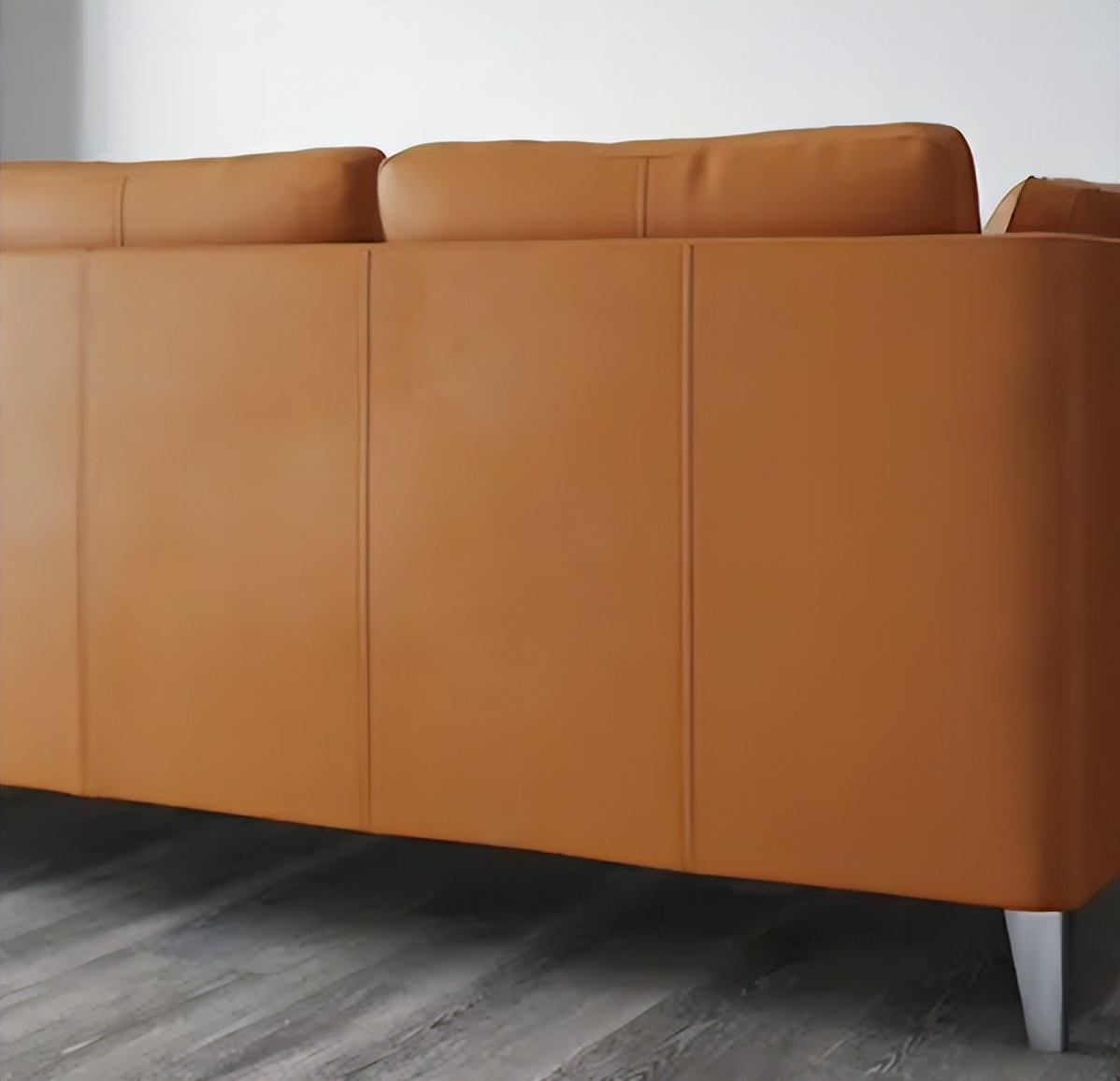 世纪话题讨论,世纪争论