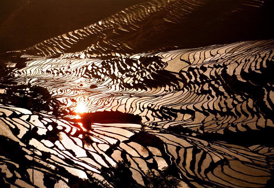 喜欢在这座江南城市里生活,非常喜欢这座自带浪漫的美丽城市