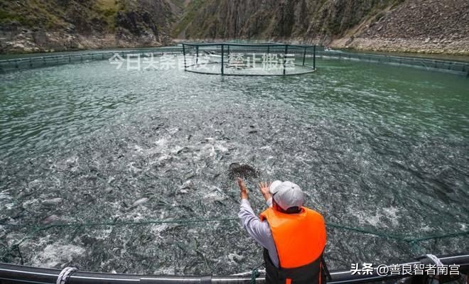 这支部落“不识五谷，只吃鱼”，延续数千年，*疆新**水产如何逆袭？