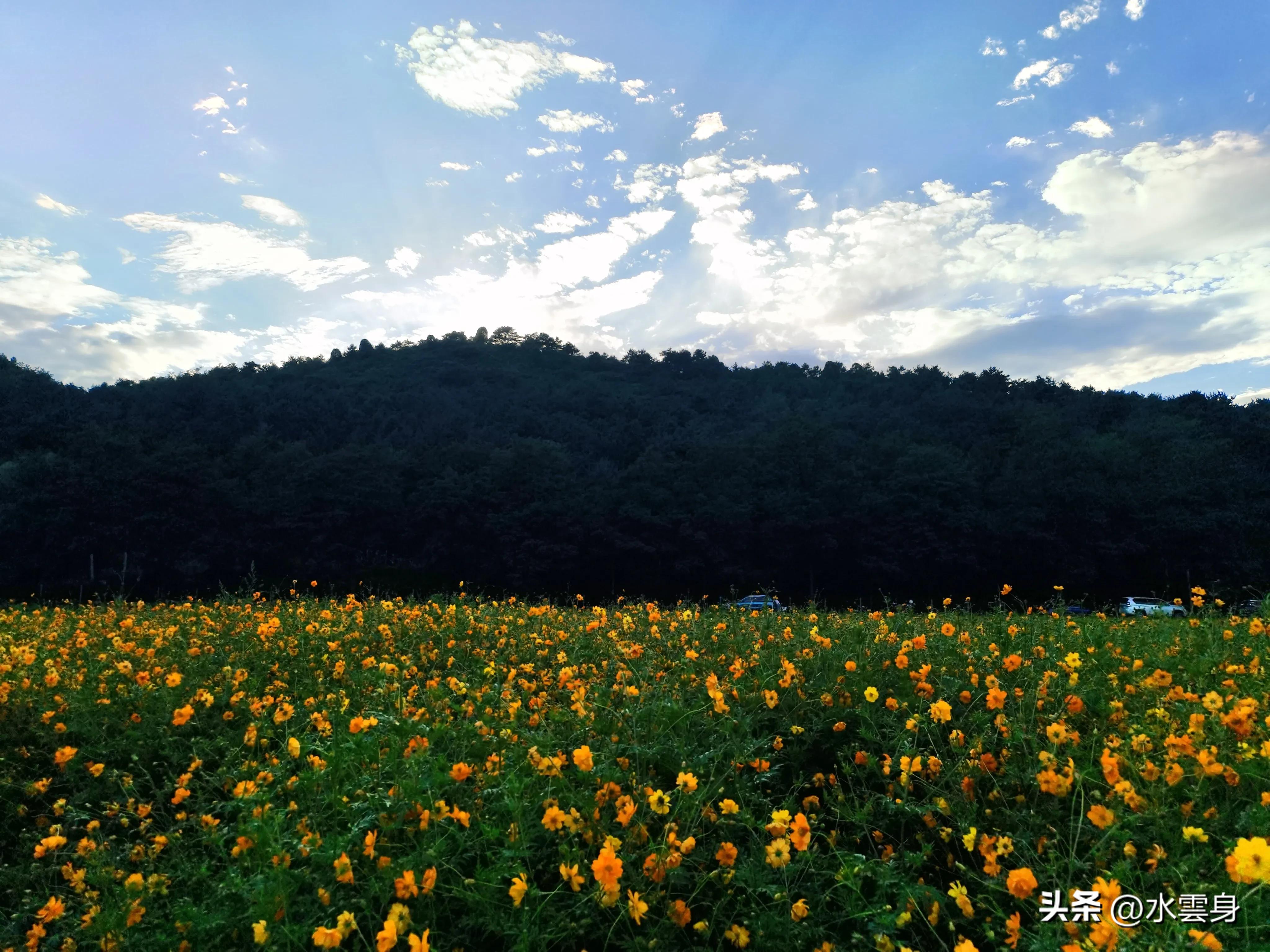 京郊赏花自驾游线路推荐,京郊免费景点一日自驾游路线攻略