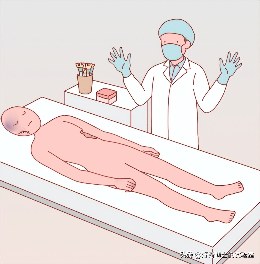 沉浸式体验死囚的最后24小时,尸体火化的真实故事