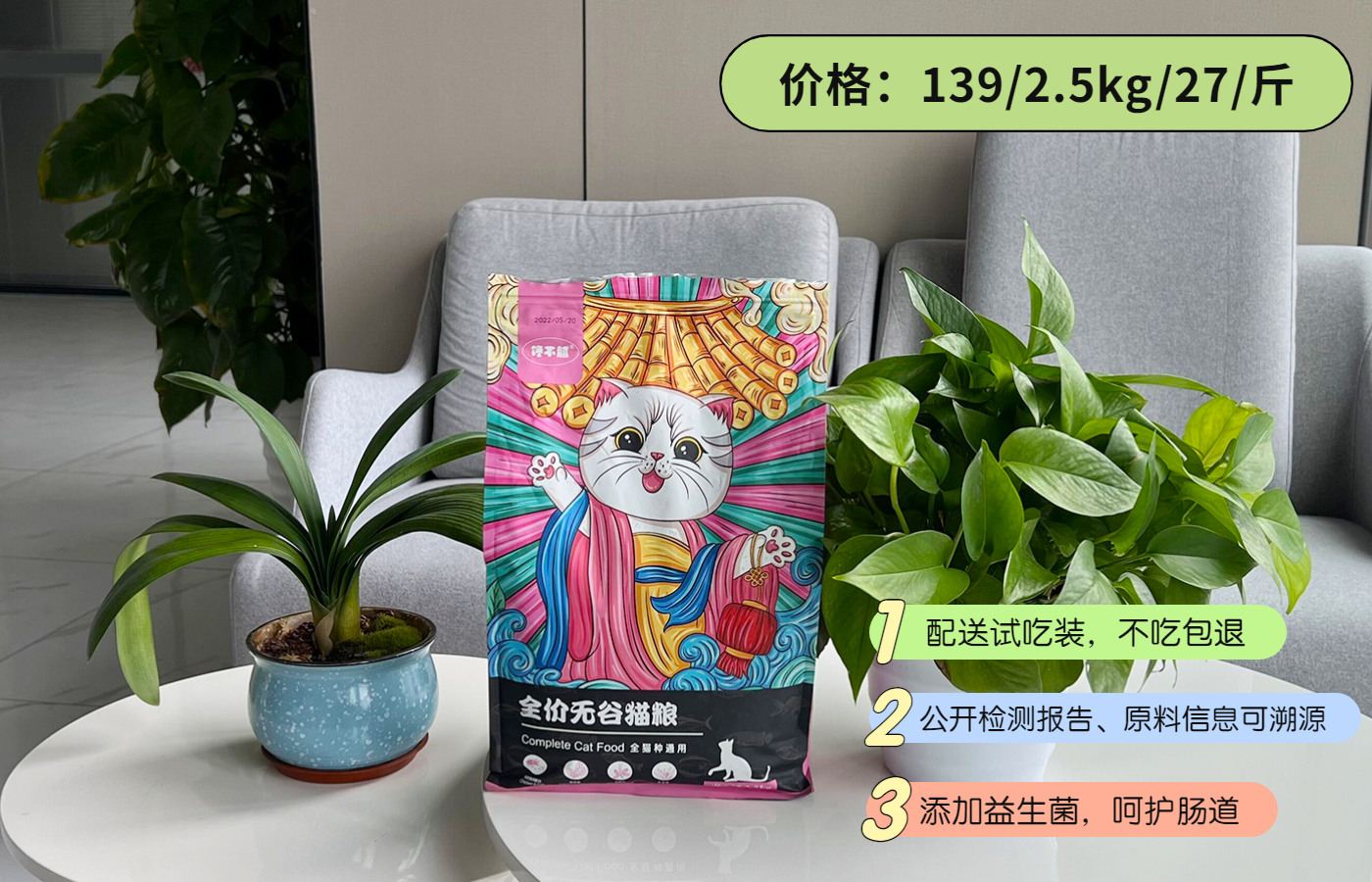 养了很多只猫的缅因猫,养完最后悔的狗